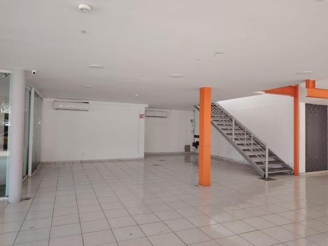 Foto de la galeria de imagenes