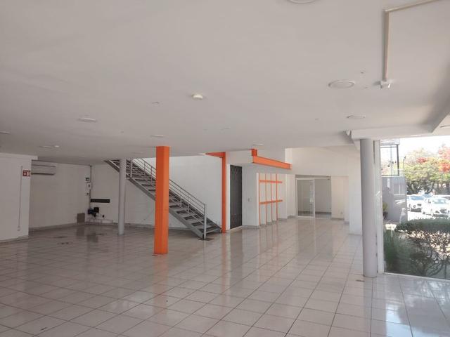 Foto de la galeria de imagenes