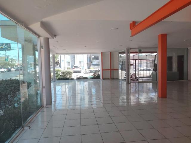 Foto de la galeria de imagenes